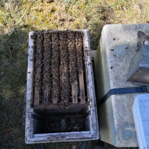 6-rammers Bi familie "OBS. Denne Varer sendes ikke."