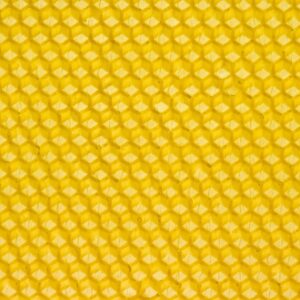 beeswax, honey, honeybee-15218.jpg