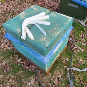 Oxalsyre strimler 20 stk.