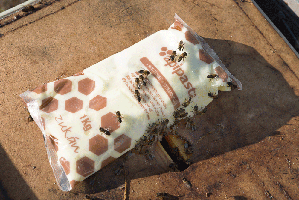 Apipasta Vitamin Foderdej - Billede 4